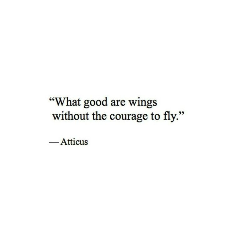 What good are wings without the courage to fly?