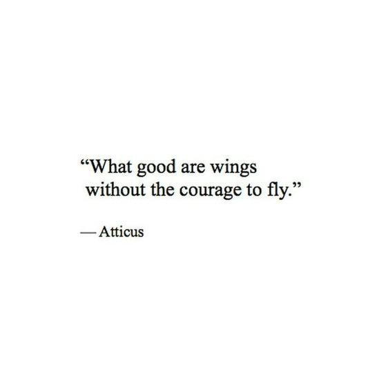 What good are wings without the courage to fly?